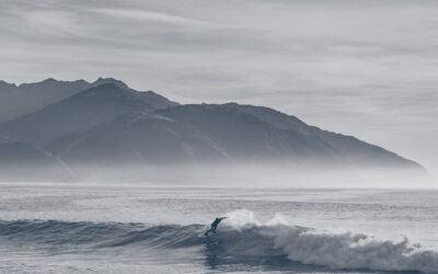 Market Commentary: Outlook 2026 – Riding the Wave