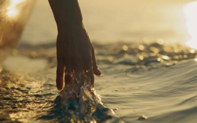 Market Commentary: Top Charts from the First Half and Why the AI Wave Is Everywhere
