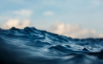 Market Commentary: Carson 2026 Midyear Outlook—Still Riding the Wave