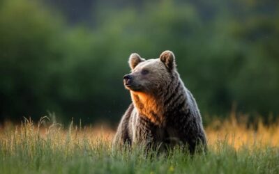Market Commentary: Stocks Climb Despite Soaring Yields
