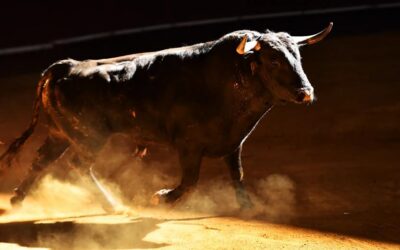 Market Commentary: The bull turns four, and a look at the midterm election